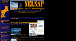 Desktop Screenshot of nelsap.org