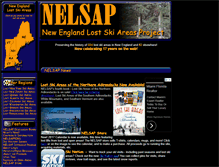 Tablet Screenshot of nelsap.org
